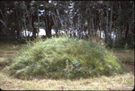 (035) Mound August 1972 by James Smith Pierce