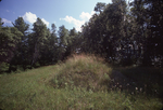 (054) Mound September 1975 by James Smith Pierce