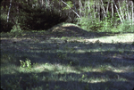 (061) Mound June 1977 by James Smith Pierce