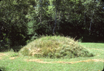 (076) Mound July 1978 by James Smith Pierce
