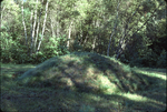 (077) Mound August 1979 by James Smith Pierce