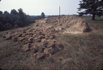 020 Motte August 1975 by James Smith Pierce