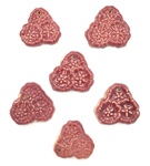 Set of 6 Prairie Rose Pendants Lot 8, Red by Maker Unknown