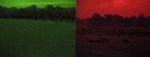 From the Virtual Pasture: 2 June 2010, 9:04 pm Left and 26 June 2010 Right by Michael Mercil