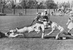 1968 UND Football Team: Philip Stewart by University of North Dakota