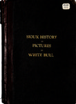 Sioux History in Pictures (the White Bull Manuscript) by Joseph White Bull (Pte-san-hunka)